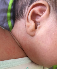 �����ơ������������ϳ�����