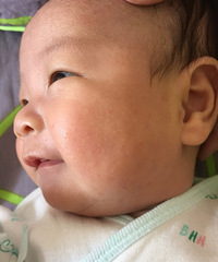 �����ơ������������ϳ�����