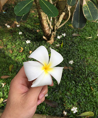 ����ʲô��