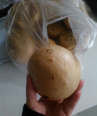 ƫ��������ĺ�����ͷ���ɱȰ��ӺóԶ��ˣ�