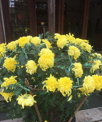 ��ĩ��ȥ��