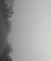 ��˵�����Ǿֲ��������� ��ô���Ҿ��ھֲ�������