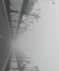 ��˵�����Ǿֲ��������� ��ô���Ҿ��ھֲ�������