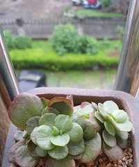 �����Ķ���