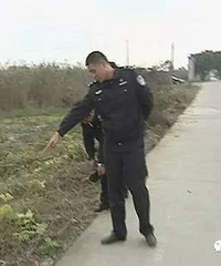 ������������һö�ڵ�����������������𡭡�