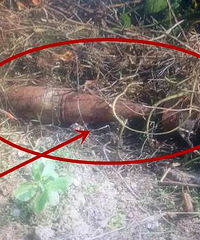 ������������һö�ڵ�����������������𡭡�