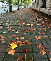 һҹ���꣬һ��֪ů