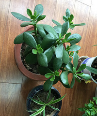 �����ַ�ѿ��