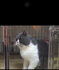 ���׳���MM ����һ�� ��������