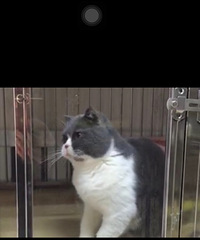 ���׳���MM ����һ�� ��������