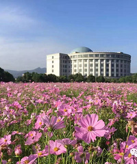 �㹤������ҹ���������ˣ��ټ��� ��Щ���������ǵ������֣�