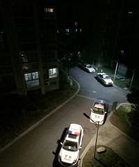 ���أ������涼��Ԣ�����ֲ�����  ��˵�Ƿ���������