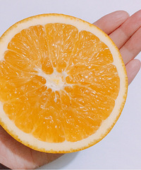 ����һ����ӣ��������к�����