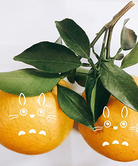 ����һ����ӣ��������к�����