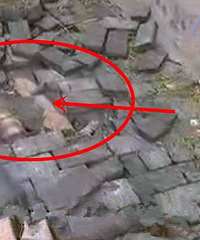 ��Ҫ������ׯ��������˵ػ��²���400öը���������������