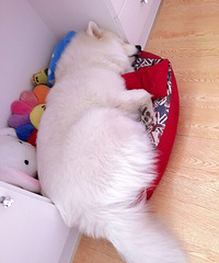 �糿�����Ѿ������ˣ��ԣ�Ư���Ķ������ˣ�