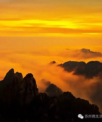 ���ڰ���º� ��ɽ��54�Ҿ�����Ʊ��ۣ�ȥ��ɽ�� Լ��