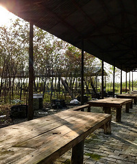 ����ׯʷ��