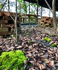 ����ׯʷ��