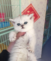 �ܵ��������¼ң�������