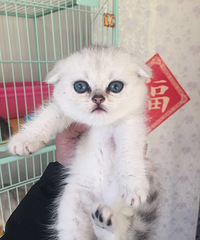 �ܵ��������¼ң�������