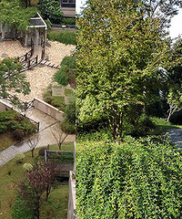 ���̻�������ô��������