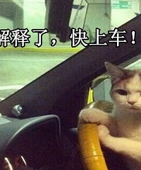 ��Ʊ˵ ��˾���Ļ������ţ�