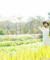 ������õ�һ�� ԭ�ƻ��ǻ����٤ �ֱ��