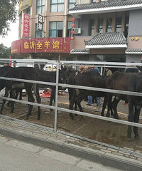 ���˾��ֵ���ɱ¿ ������ţ������ô����