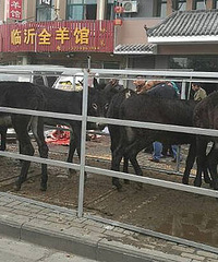 ����������ɱ¿��һ�μ�