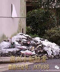 【当心空袭!】西马桥小区居民走路要朝上看 天上会掉这个东西!