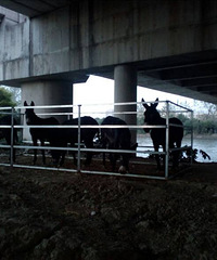 ������Сë¿����Ҫ������в��ˡ�