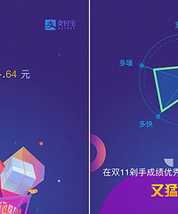 ˫ʮһ֧�����˵������ˣ�����˶��٣�