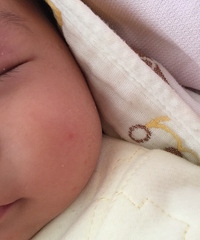 �����ơ����ϳ����ͽ�ָ��