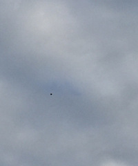 �����Ϻ������������в���������