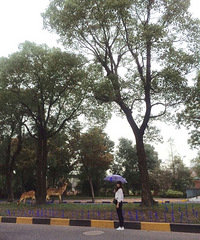 Ϊ�����ö�����