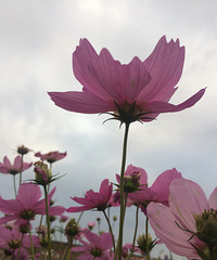 ����Ǯ������ɣ��