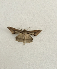 �ر�����˵ķ���