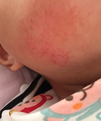 �����ơ���ҽ����С���������� �������е���ѿ���