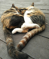 ����¥�����������