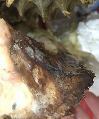 ����ѧԺĳ�̷����������������ˣ��ڳ�����������