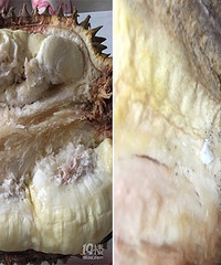 ����ѧԺ������� ��������ᣡ