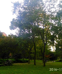 ����·����