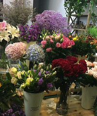 �л��в��г���