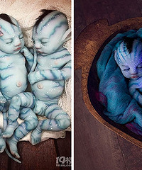 �����ﱦ����ճ��� �ۼ۸ߴ�2000��Ԫ