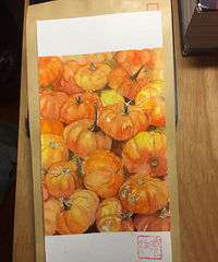 ����զ��