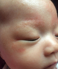 �����ơ�����ʪ����