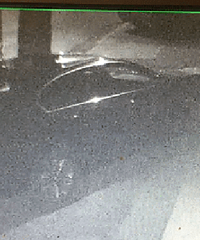 ����ı���ͣ�ں���· �����˹������