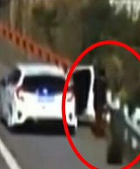 ����ɶ���Ӧ����������  һ����̥�ɹ������Ŷ�ײ����