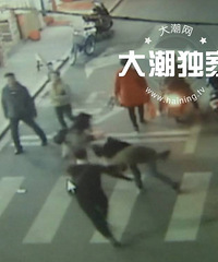 ˫ʮһ���� ������ͷ����������һĻ������� ��Ҷ�Ҫ����